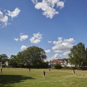 Back Field Rounders